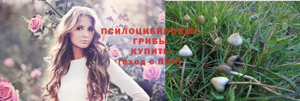 бошки Алексин