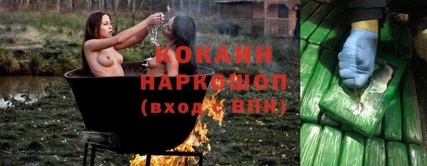 бошки Алексин