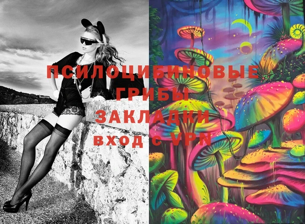 прущая мука Алзамай