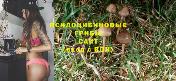 кристаллы Алексеевка